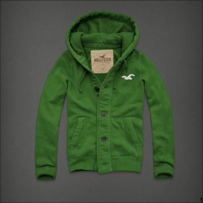 Hollister Men Hoodies-101